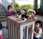 乗降客のお相手する三毛猫タマ