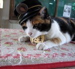 貴志駅長・三毛猫タマ